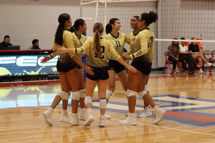 The Leopards volleyball team celebrates a point on the court.