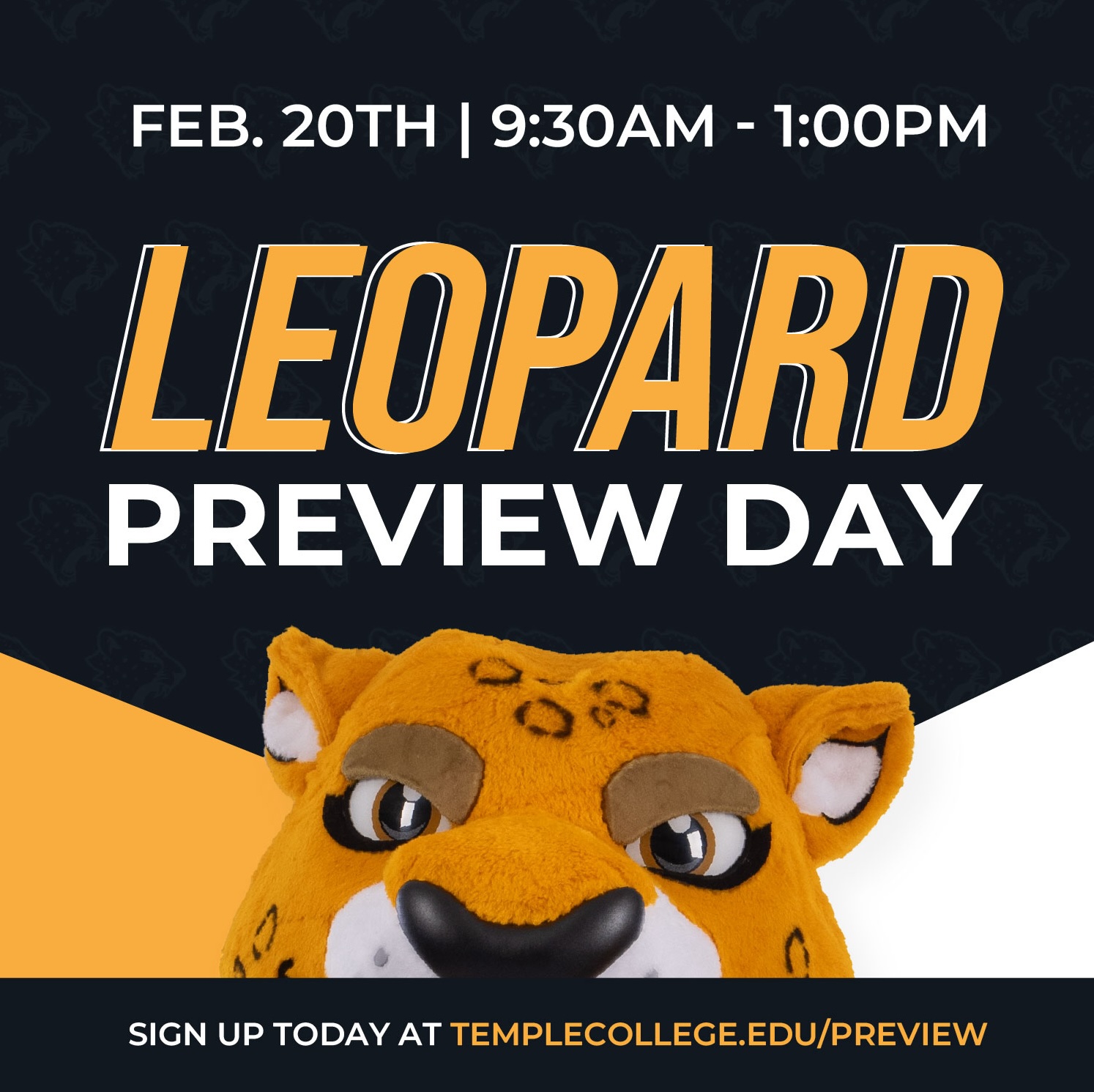 2026 Leopard Preview Day graphic