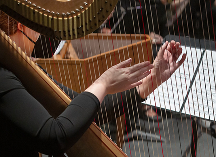 Harp being played close up